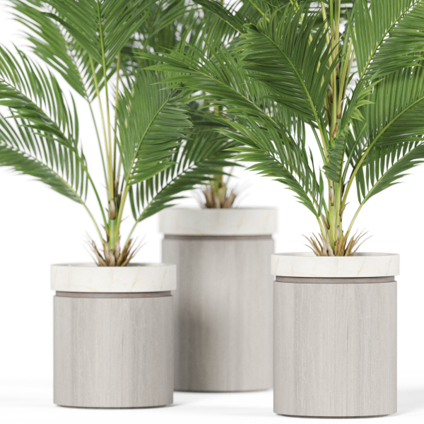Plants collection 939
