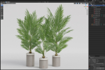 Plants collection 939