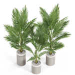 Plants collection 939