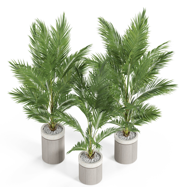 Plants collection 939