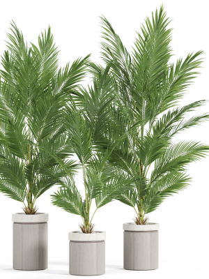 Plants collection 939