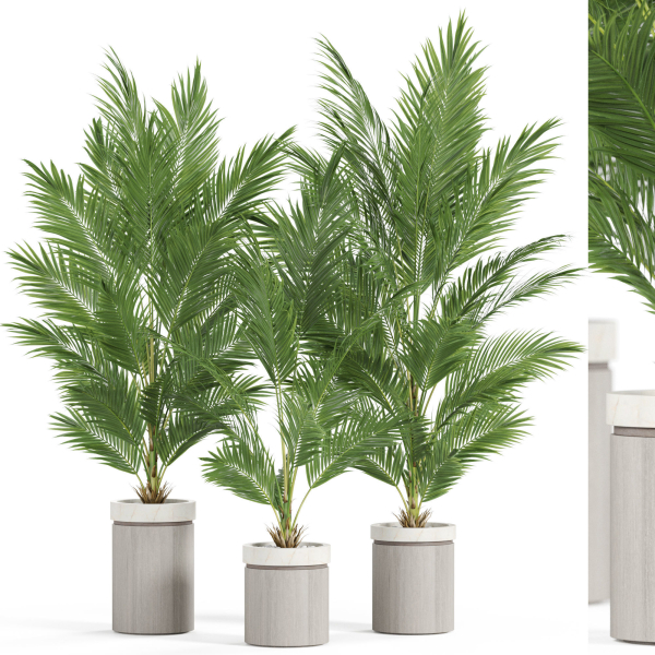Plants collection 939