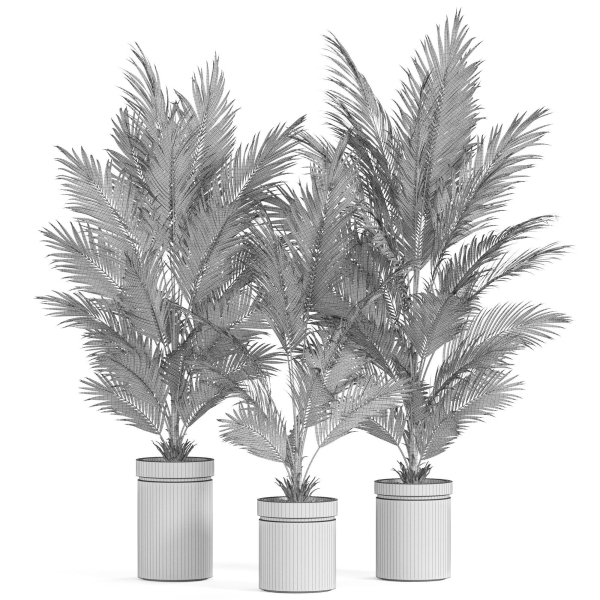 Plants collection 939