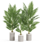 Plants collection 939