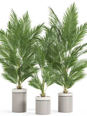 plants-collection-939-3d-model-a13e78e078