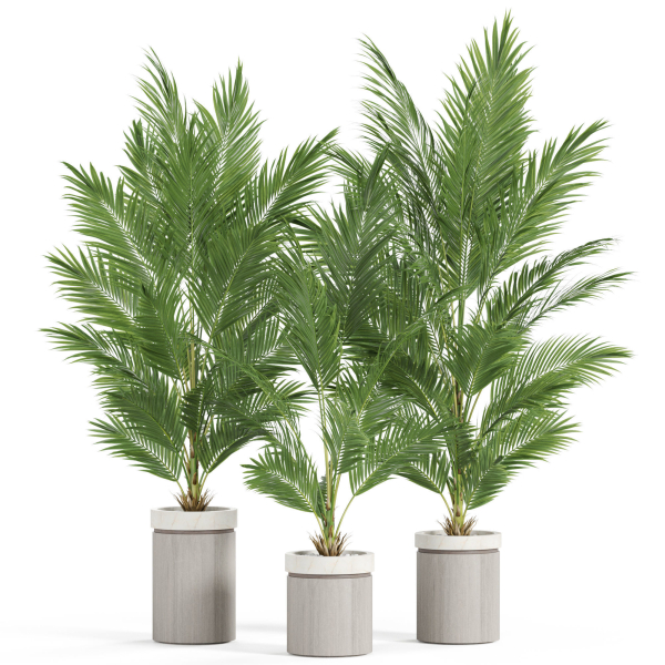 Plants collection 939
