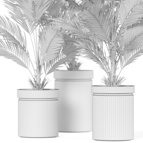 Plants collection 939