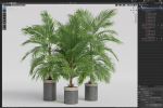 Plants collection 940
