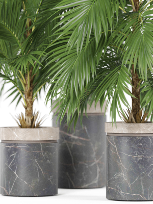 plants-collection-940-3d-model-16792a7254