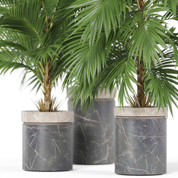 Plants collection 940