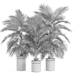 Plants collection 940