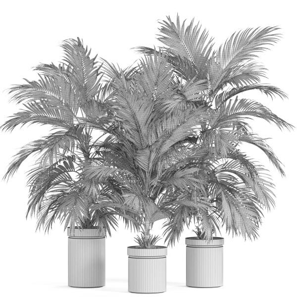 Plants collection 940