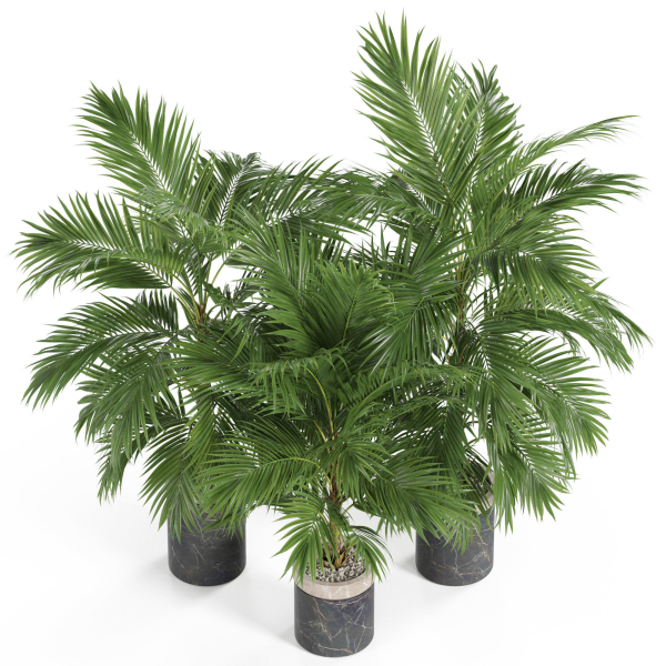 Plants collection 940