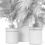 Plants collection 940