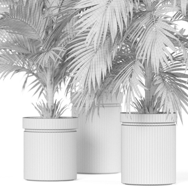 Plants collection 940