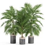 Plants collection 940