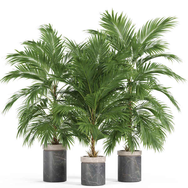 Plants collection 940
