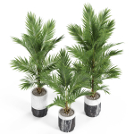 Plants collection 941