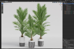 Plants collection 941