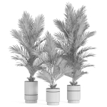 Plants collection 941