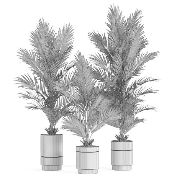 Plants collection 941