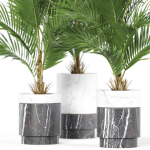 Plants collection 941