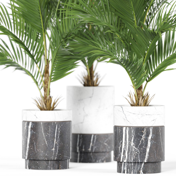 Plants collection 941