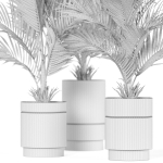 Plants collection 941