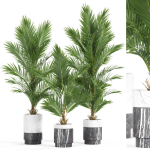 Plants collection 941