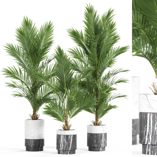 Plants collection 941