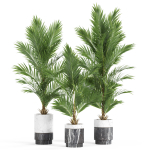 Plants collection 941