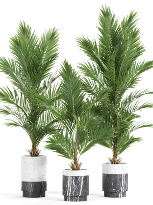 plants-collection-941-3d-model-c4e840e406