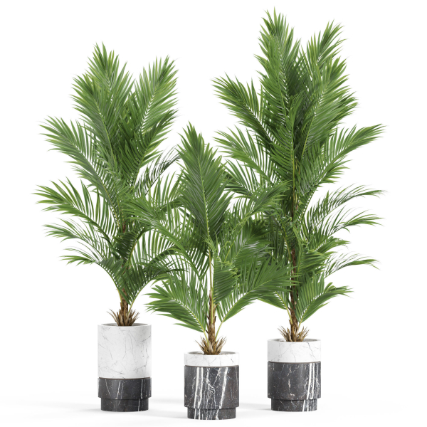 Plants collection 941