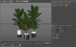 Plants collection 941