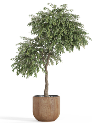 plants-collection-947-3d-model-472ef7057f