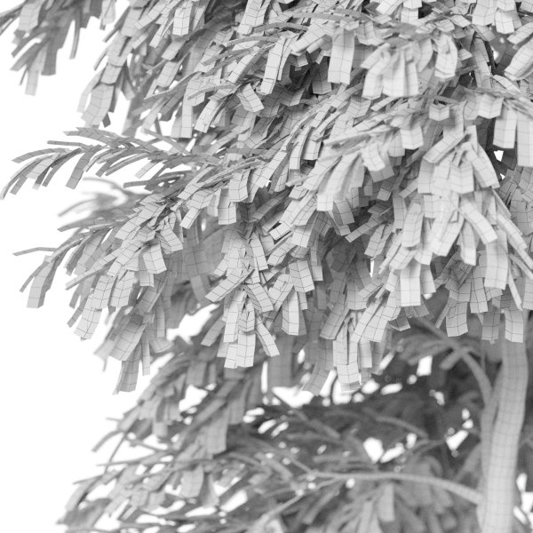 Plants collection 947