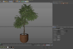Plants collection 947