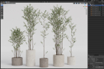 Plants collection 949