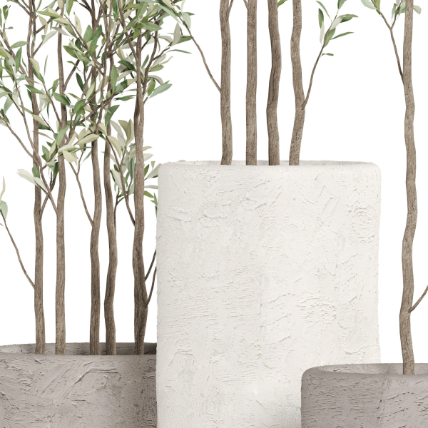 Plants collection 949