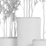 Plants collection 949