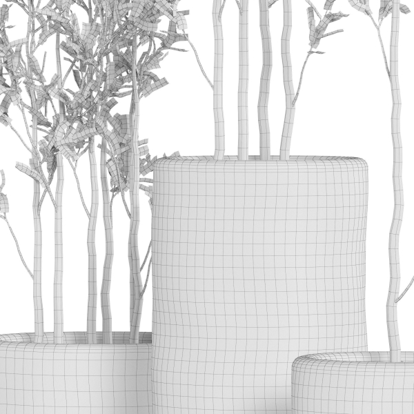 Plants collection 949