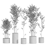 Plants collection 949