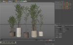 Plants collection 949
