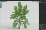 Plants collection 954