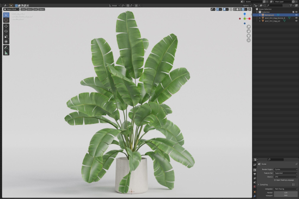 Plants collection 954
