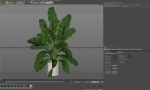 Plants collection 954