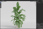 Plants collection 955