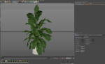 Plants collection 955