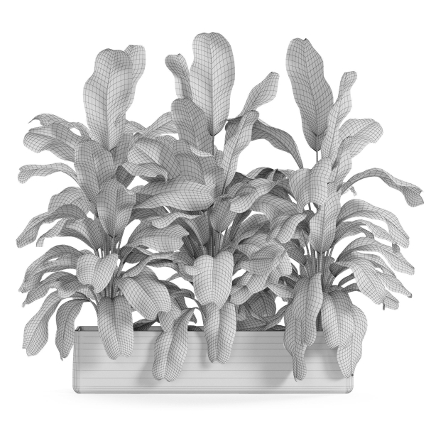 Plants collection 960