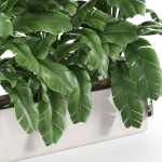 Plants collection 960